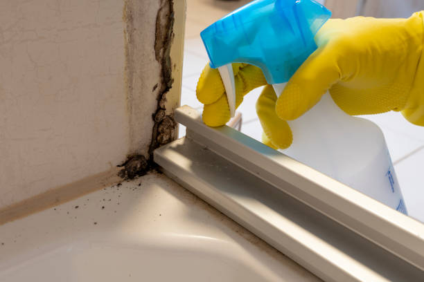 Best Crawl Space Mold Removal  in Royalton, MN